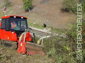 SEPPI · MINIFORST cl