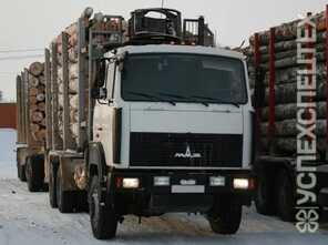 Маз · 6317 Epsilon C 80L