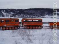 Пассажирский двухзвенный · ТТМ-4902 ПС