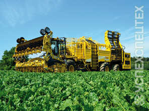 Ropa · Euro Tiger V8