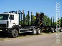 Маз · 6317 Epsilon C 80Z