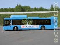 МАЗ · 203С65 Газомоторный