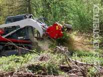 SEPPI · MINIFORST cl