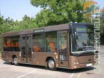 МАЗ · 226063