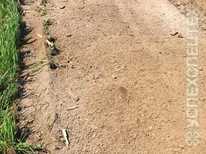 Valentini · FI IVAN