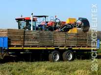 Тонар · ПТ 7