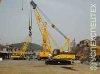 Zoomlion  · Грузоподъемность 50 тонн, вылет стрелы 40 м.