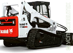 Bobcat · T300