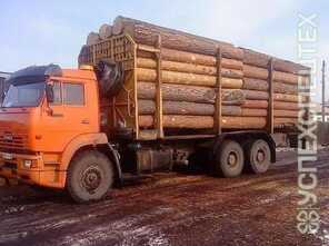 Камаз ·  6520 Epsilon M 120 L