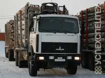 Маз · 6317 Epsilon C 80L