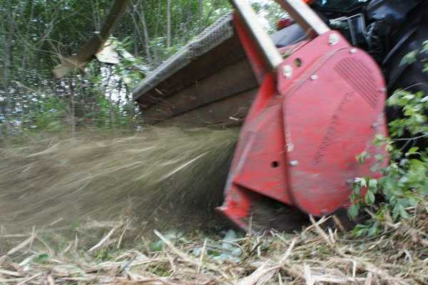 SEPPI ·  MIDIFORST dt