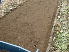  Valentini ·  Scorpion