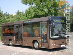 МАЗ · 226063