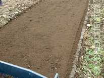  Valentini ·  Scorpion