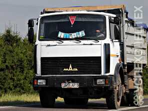 МАЗ · 5551