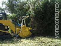  SEPPI · MIDIFORST mt 