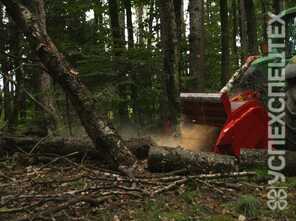 SEPPI ·  MIDIFORST dt