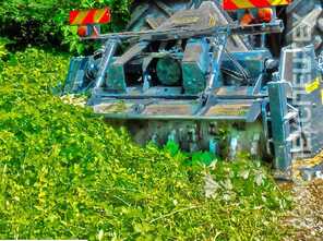  Valentini ·  Scorpion