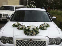 Chrysler · 300C White (матовый) 