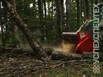 SEPPI ·  MIDIFORST dt