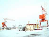  GIRAFFE · TDKP 12 5 440