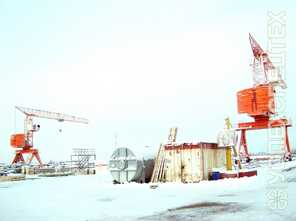  GIRAFFE · TDKP 12 5 440