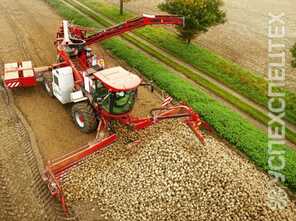 Holmer ·  Terra Felis 2