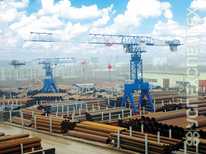 GIRAFFE · TDKP 10 300