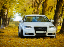 Audi · A6 