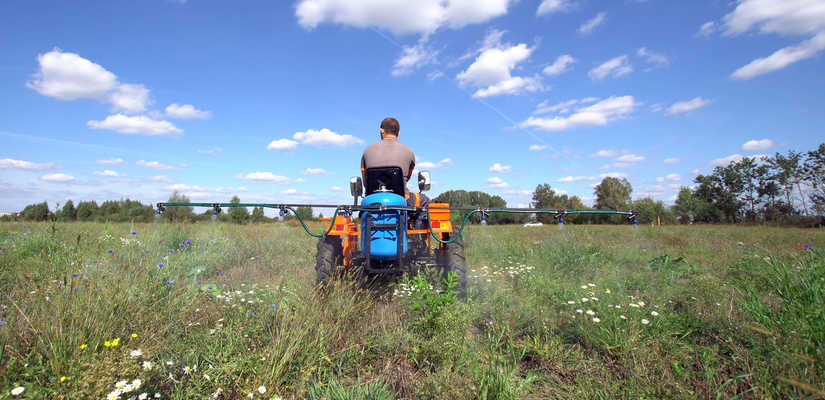 Кентавр · Т 24