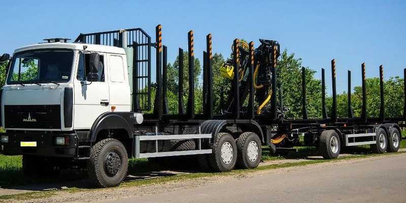 Маз · 6317 Epsilon C 80Z