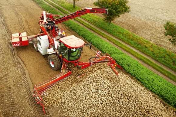 Holmer ·  Terra Felis 2