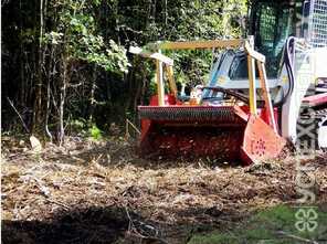  SEPPI · MIDIFORST mt 