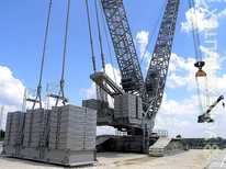 Liebherr  · LR11350