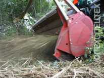 SEPPI ·  MIDIFORST dt